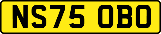 NS75OBO