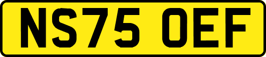 NS75OEF