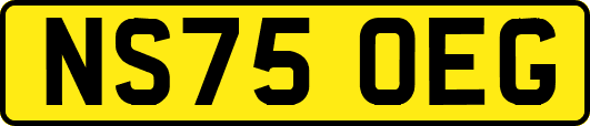 NS75OEG