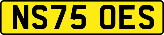 NS75OES