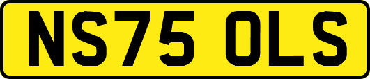 NS75OLS