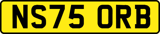 NS75ORB