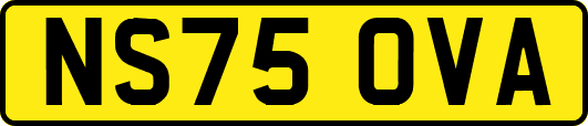 NS75OVA