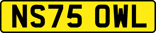NS75OWL