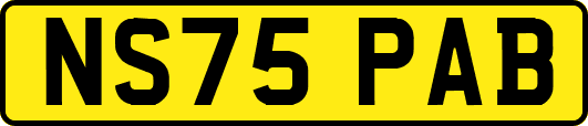 NS75PAB