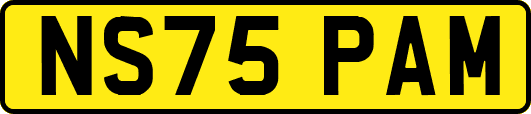 NS75PAM