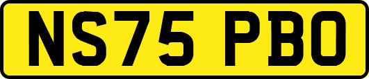 NS75PBO