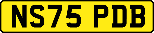 NS75PDB