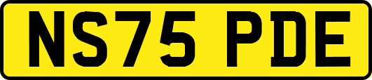 NS75PDE