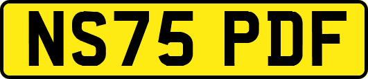 NS75PDF