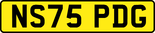 NS75PDG
