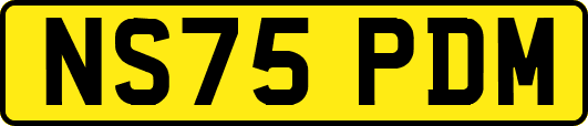 NS75PDM