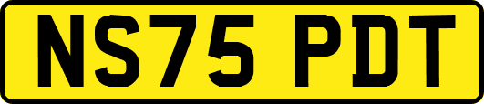 NS75PDT