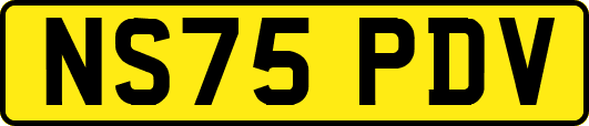 NS75PDV