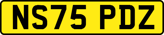 NS75PDZ