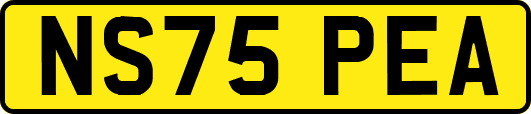 NS75PEA