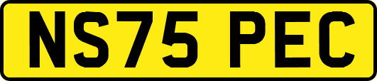 NS75PEC