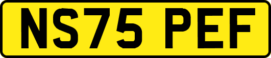 NS75PEF