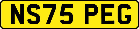 NS75PEG