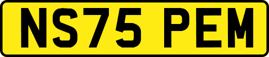 NS75PEM