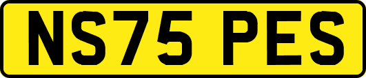 NS75PES