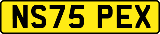 NS75PEX