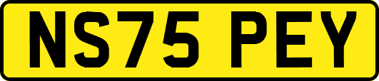 NS75PEY