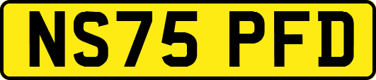 NS75PFD