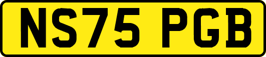 NS75PGB