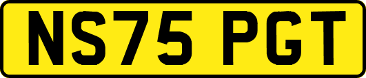 NS75PGT