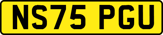 NS75PGU
