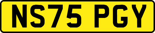 NS75PGY
