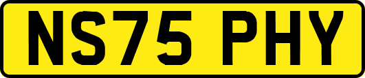 NS75PHY