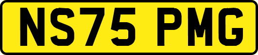 NS75PMG