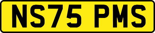 NS75PMS