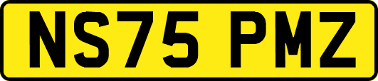 NS75PMZ