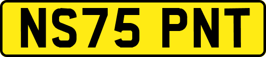 NS75PNT