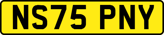 NS75PNY