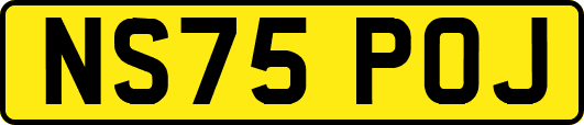 NS75POJ