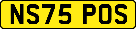 NS75POS