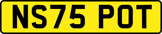 NS75POT