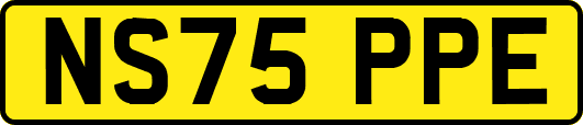 NS75PPE