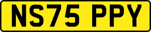 NS75PPY