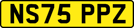 NS75PPZ