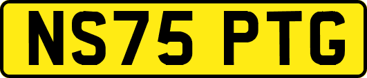 NS75PTG