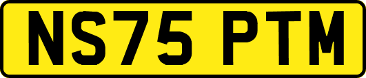 NS75PTM