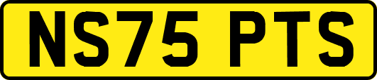 NS75PTS