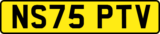 NS75PTV
