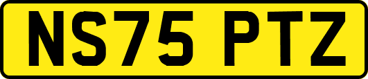 NS75PTZ