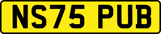 NS75PUB